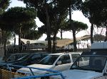 5 PINI 013.jpg